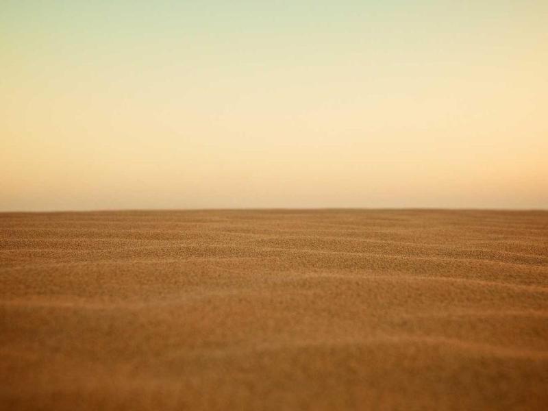 Rutrum magnis vel risus lectus mattis tincidunt